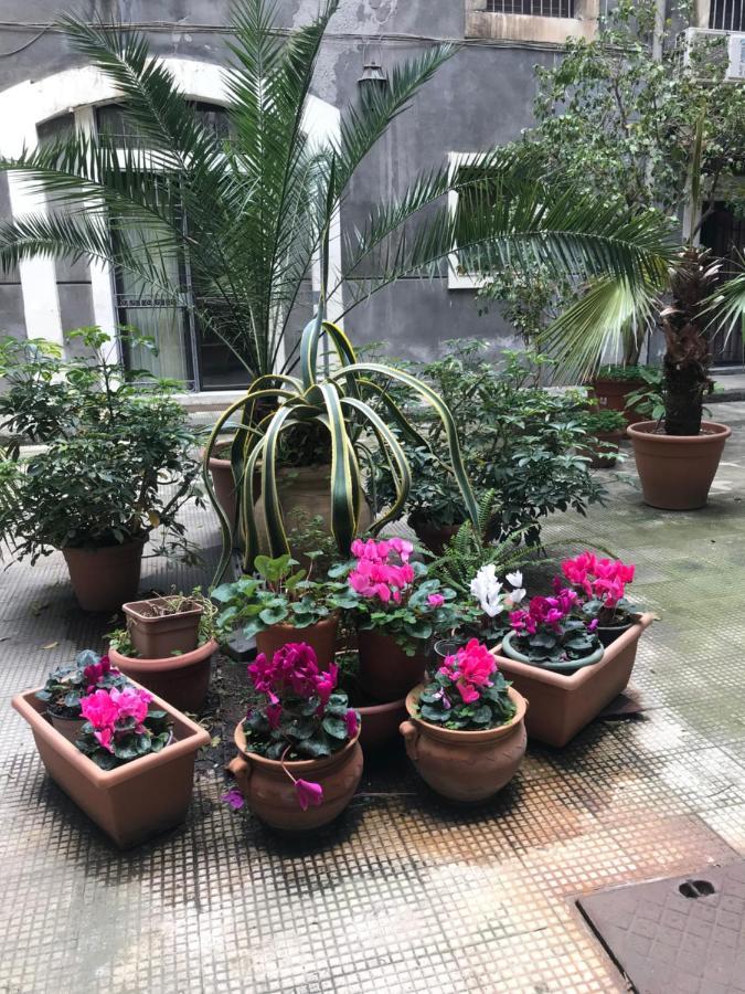 Elegante Appartamento Centro Storico CTA Eksteriør bilde